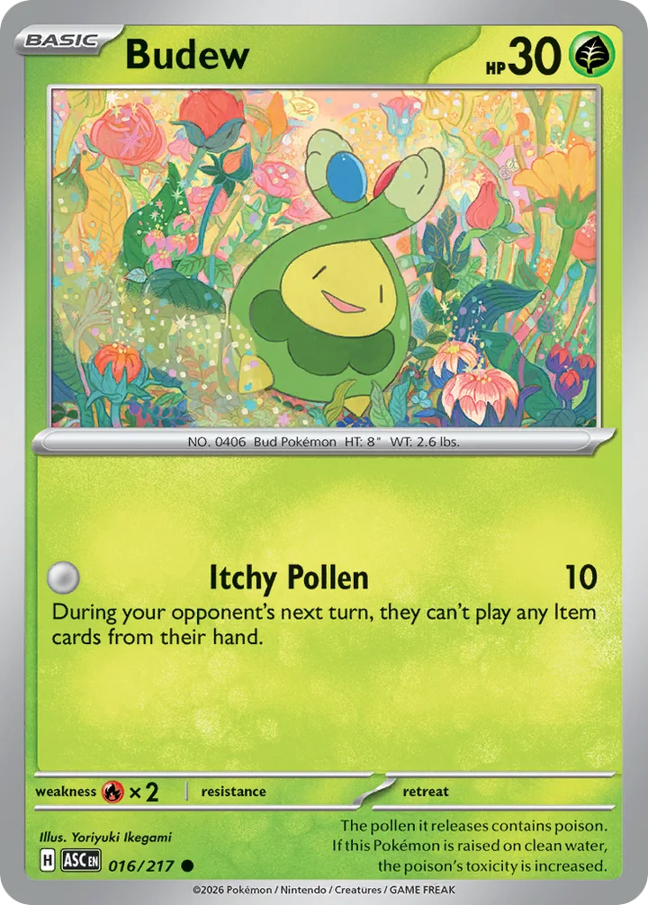 Budew, Ascended Heroes 016/217