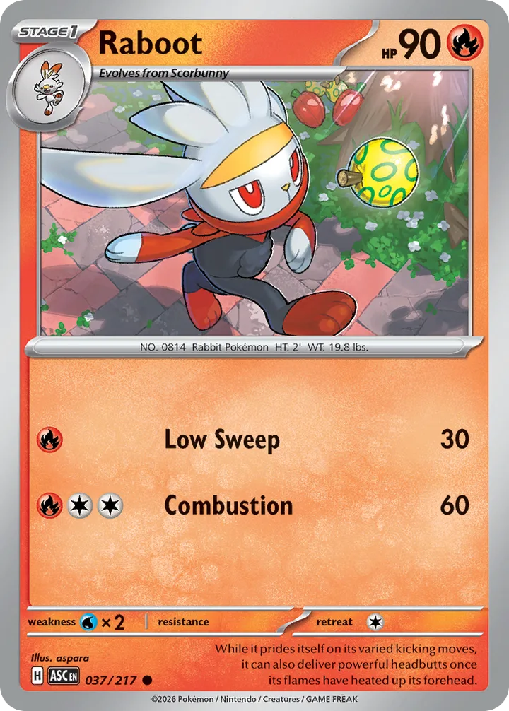 Raboot, Ascended Heroes 037/217