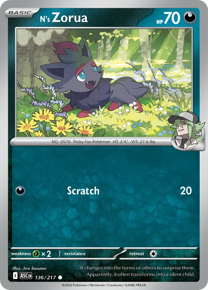 N’s Zorua, Ascended Heroes 136/217