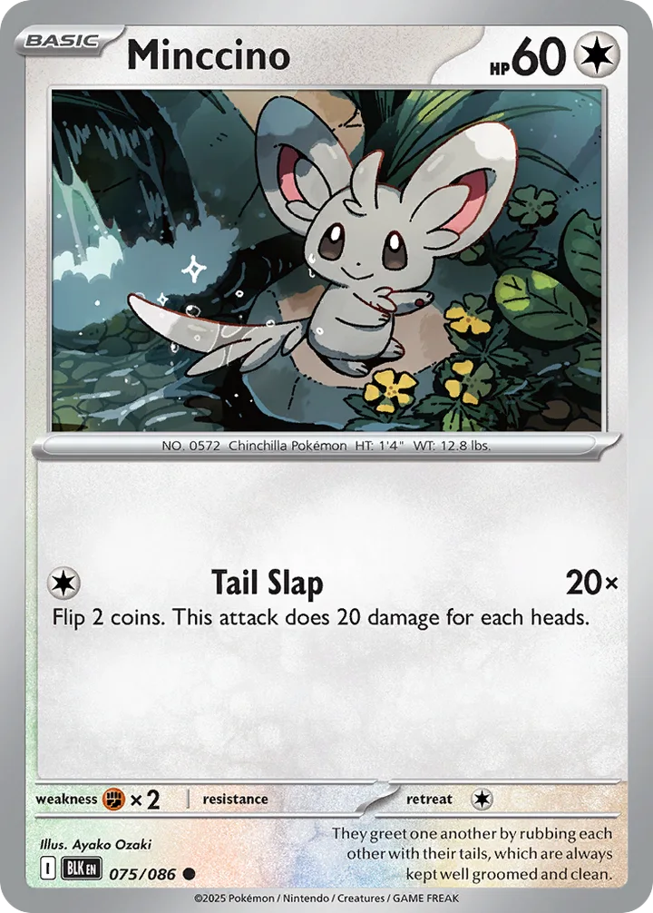 Minccino, Black Bolt 075/086