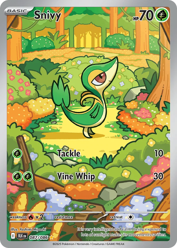 Snivy, Black Bolt 087/086