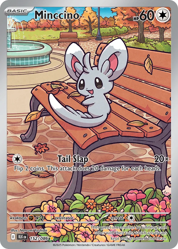 Minccino, Black Bolt 152/086