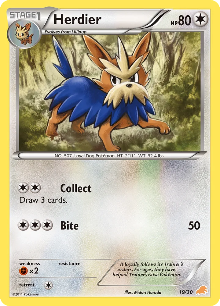 Herdier, Black & White Trainer Kit—Excadrill 19/30