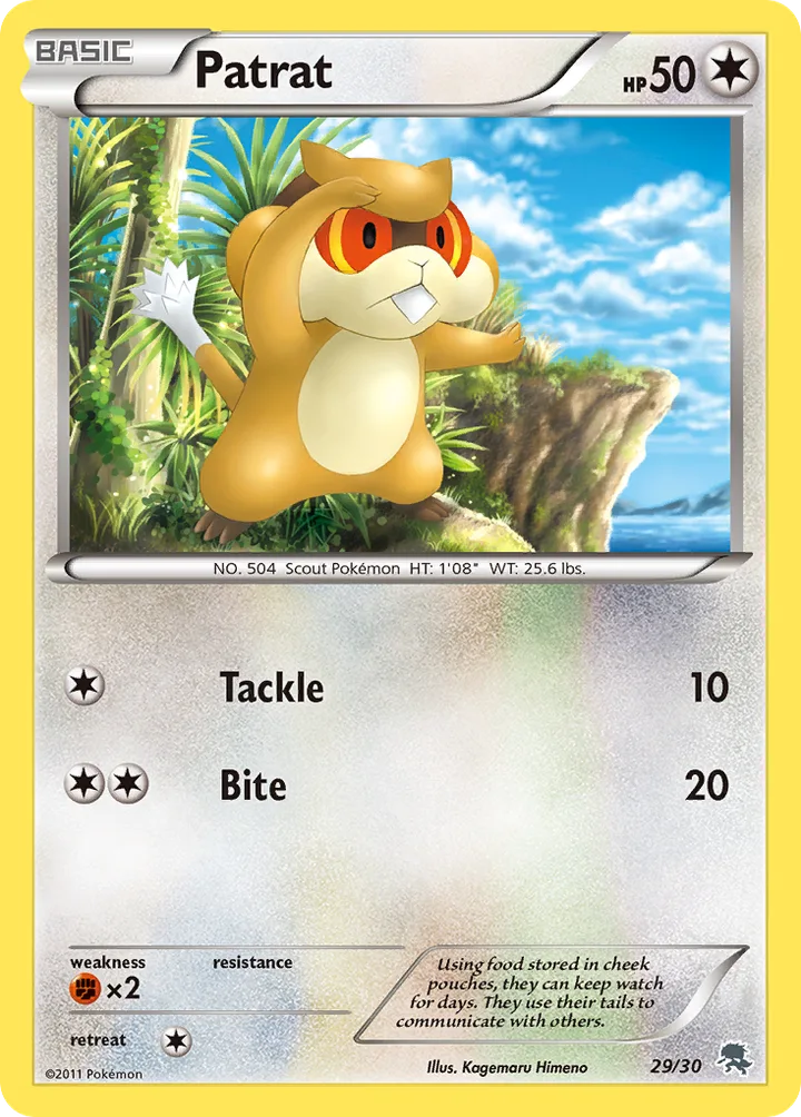 Patrat, Black & White Trainer Kit—Zoroark 29/30