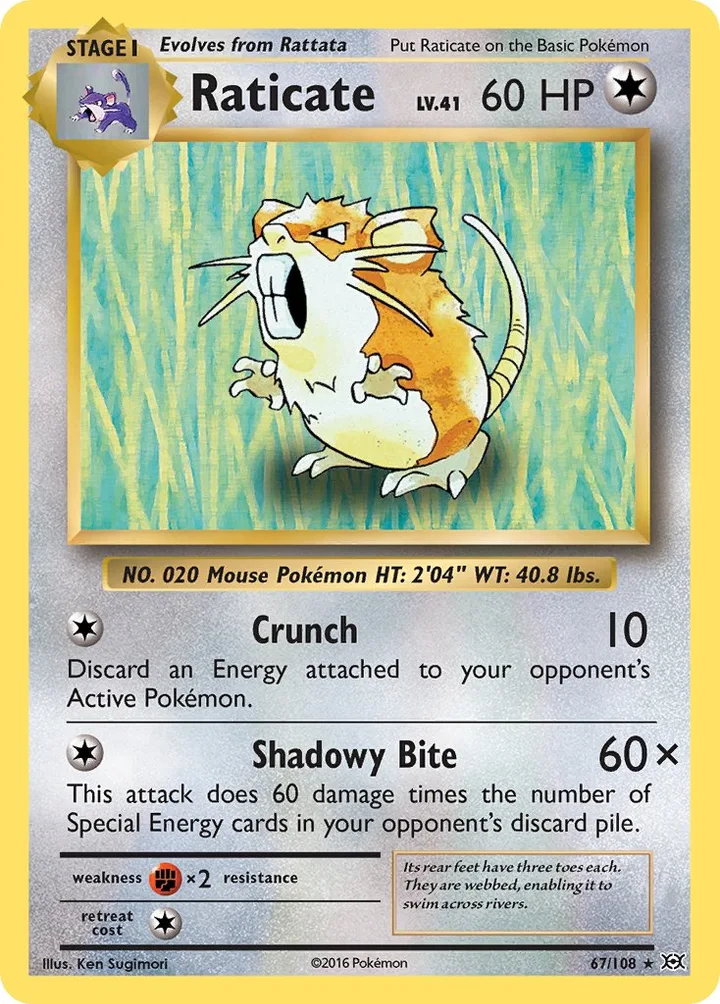 Raticate, Evolutions 67/108