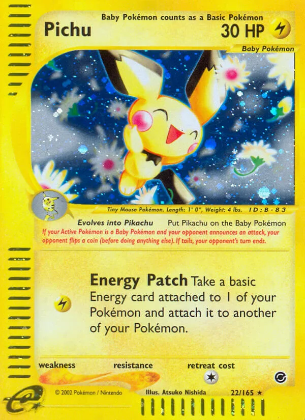 Pichu, Expedition 22/165