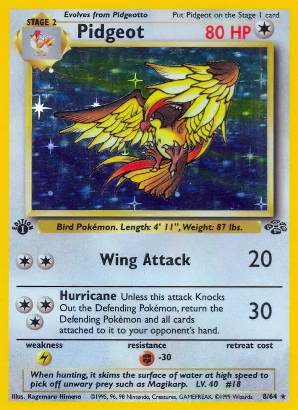 Pidgeot, Jungle 8/64