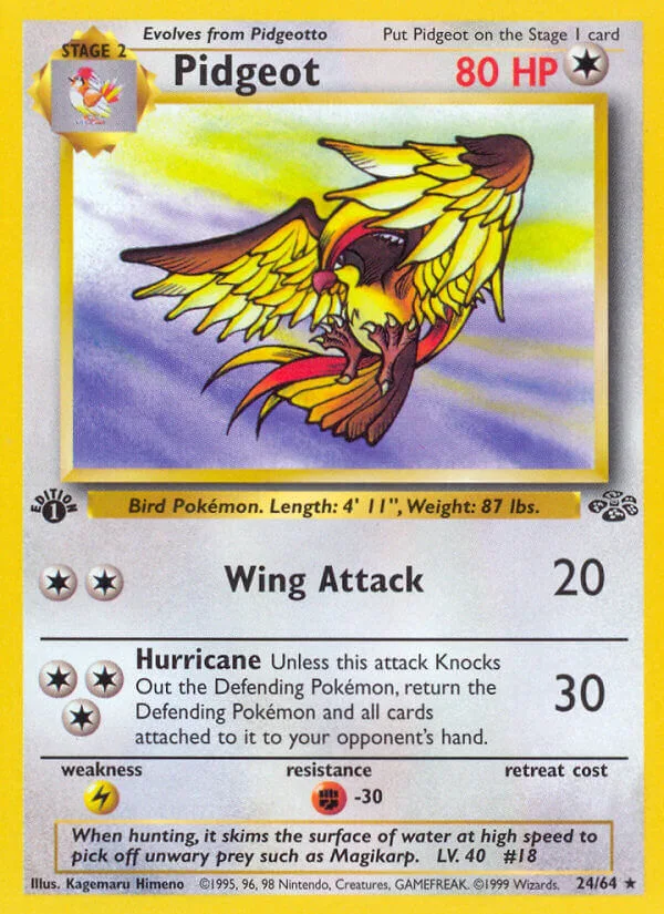 Pidgeot, Jungle 24/64