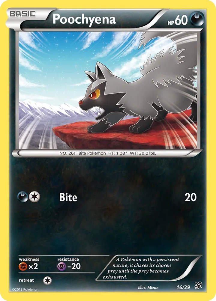 Poochyena, Kalos Starter Set 16/39