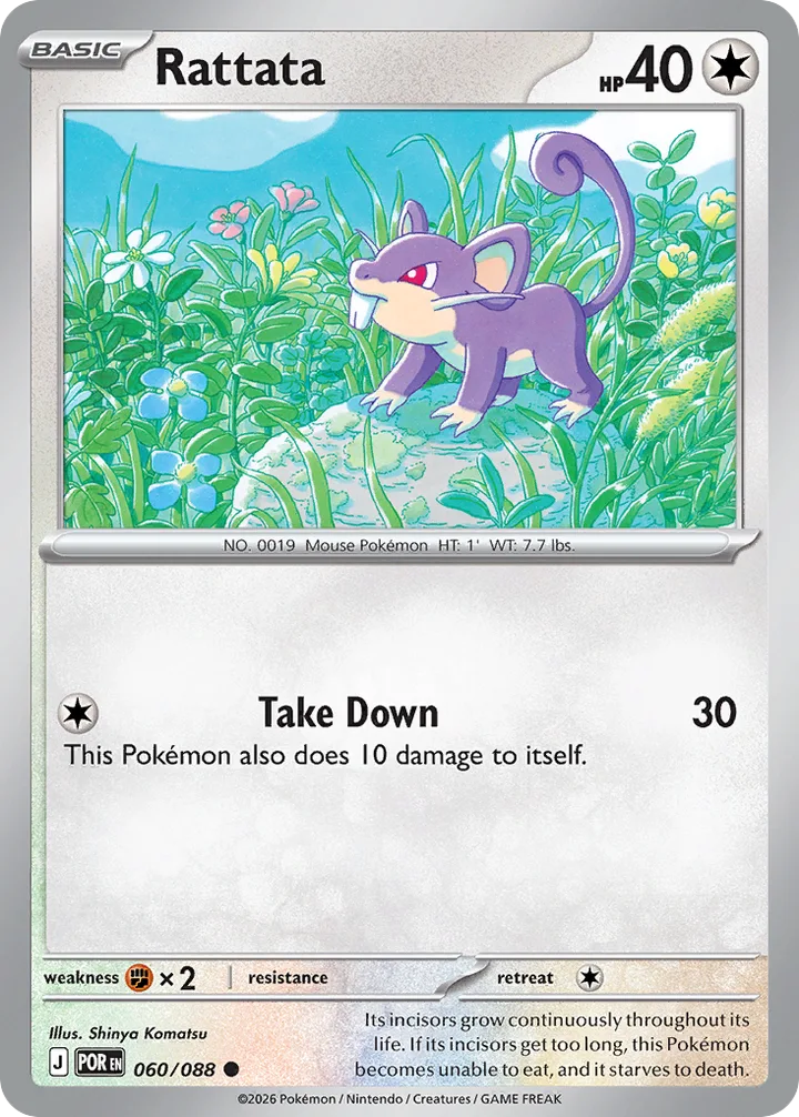 Rattata, Perfect Order 060/088