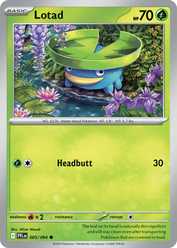 Lotad, Phantasmal Flames 005/094