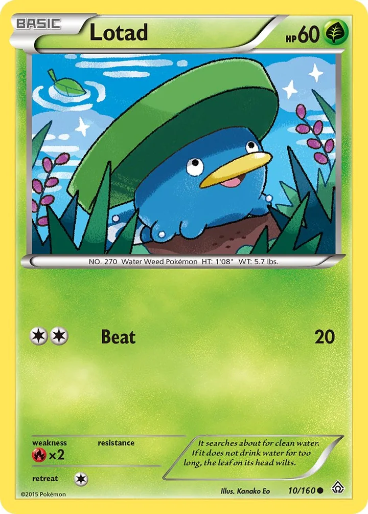 Lotad, Primal Clash 10/160