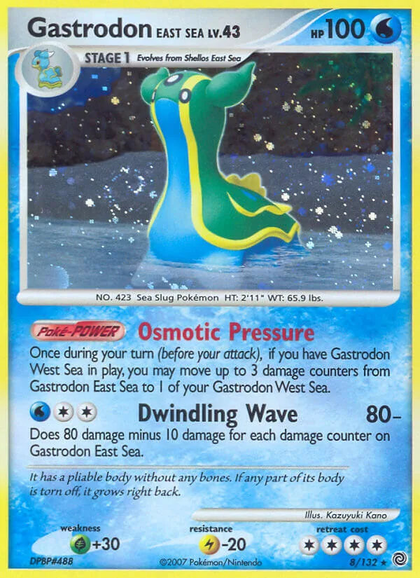 Gastrodon East Sea, Secret Wonders 8/132
