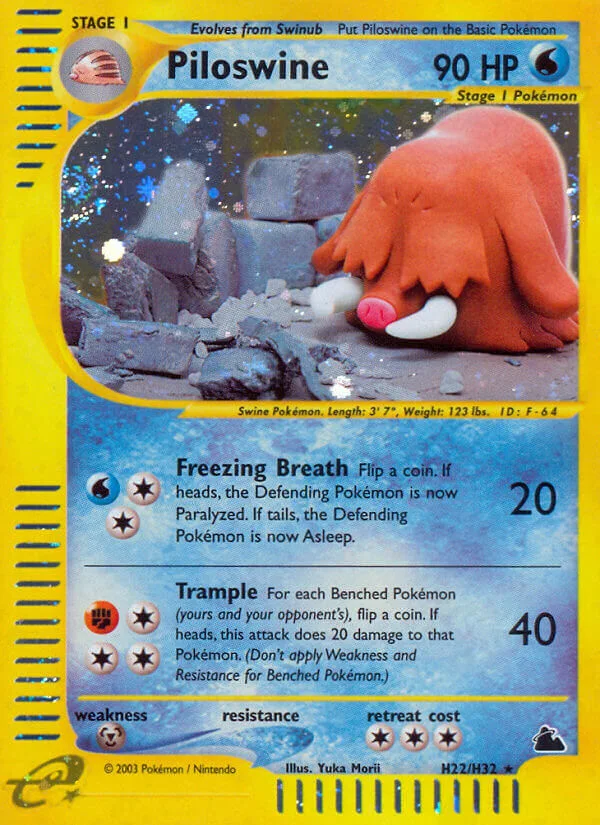 Piloswine, Skyridge H22/H32