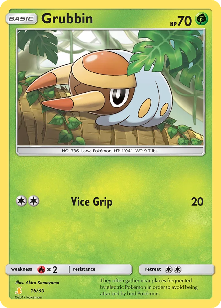 Grubbin, Sun & Moon Trainer Kit—Alolan Raichu 16/30