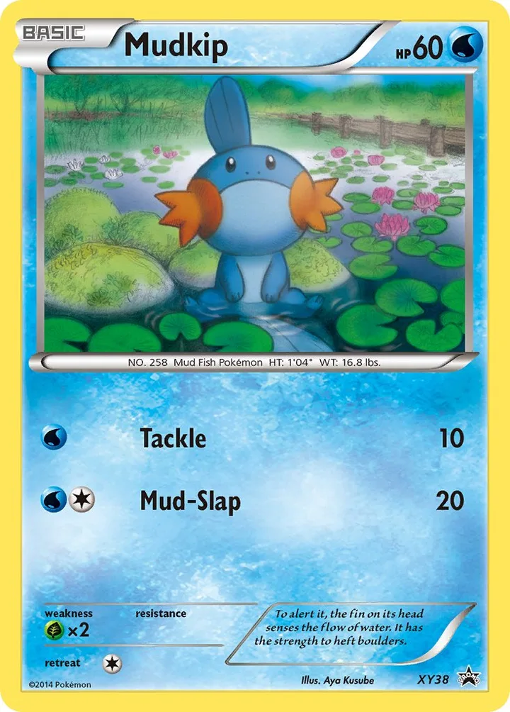 Mudkip, XY Promos XY38