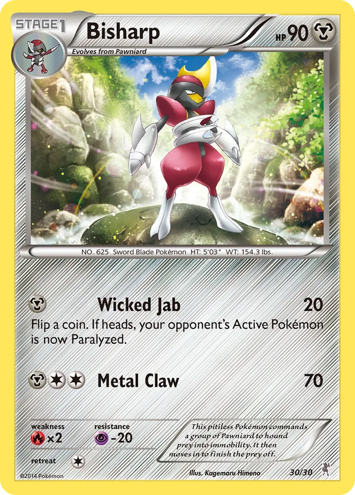 Bisharp, XY Trainer Kit—Bisharp 30/30
