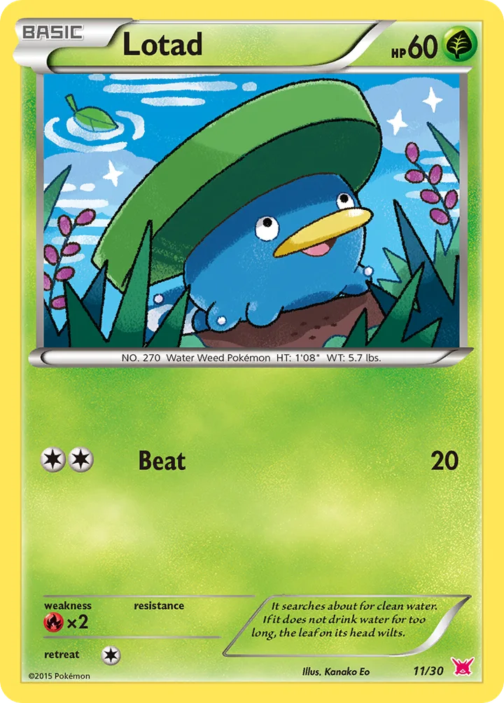 Lotad, XY Trainer Kit—Latias 11/30