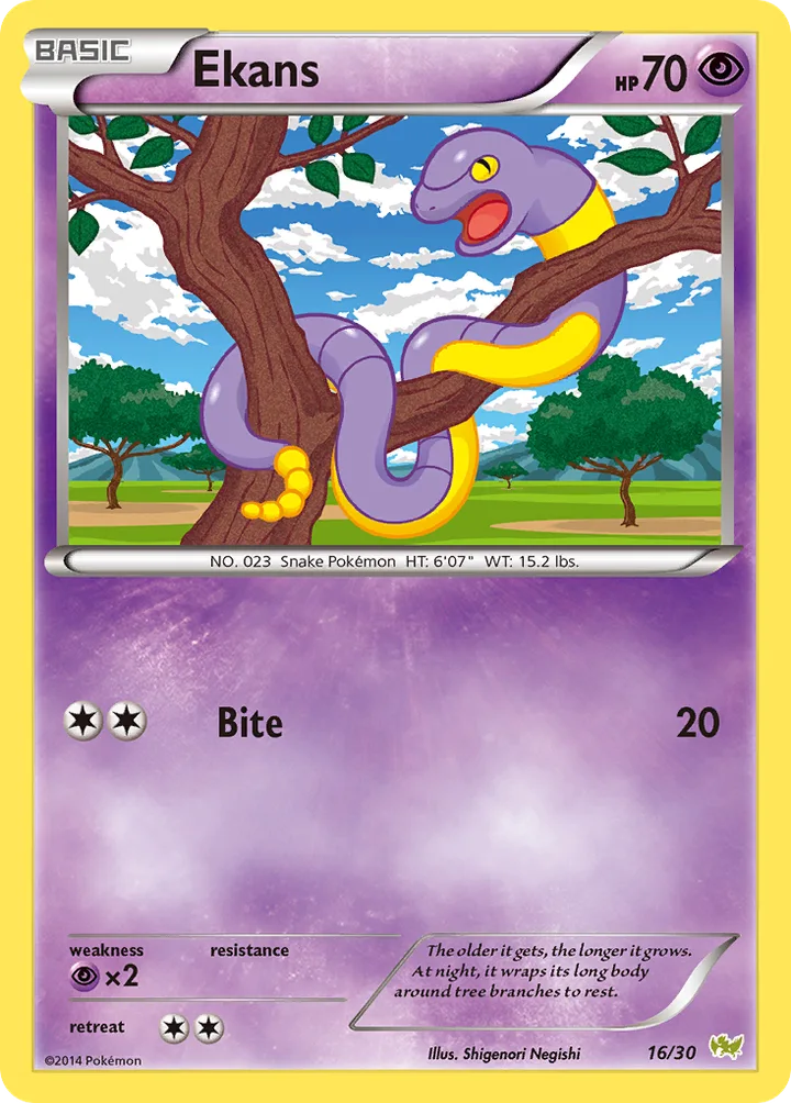 Ekans, XY Trainer Kit—Noivern 16/30