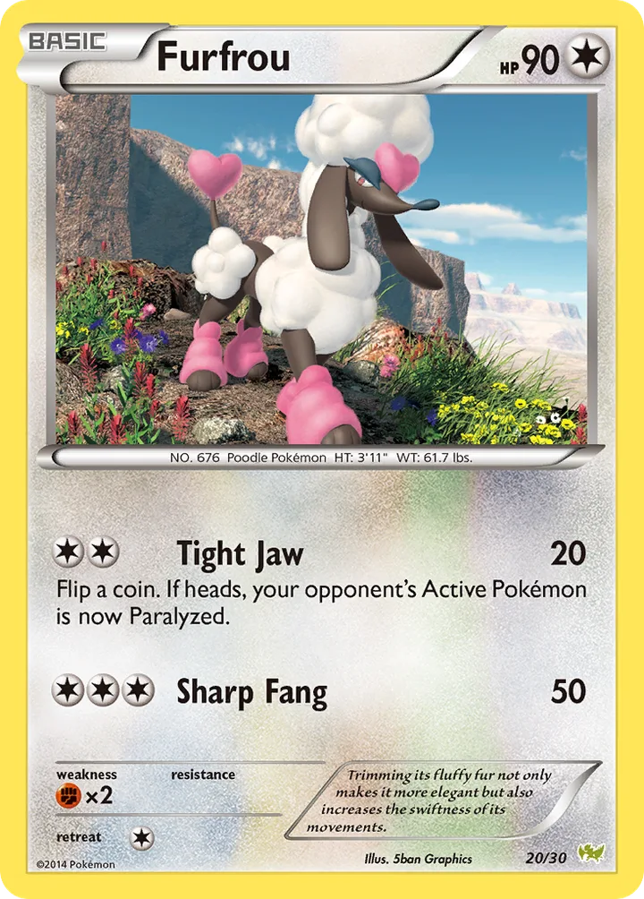 Furfrou, XY Trainer Kit—Noivern 20/30