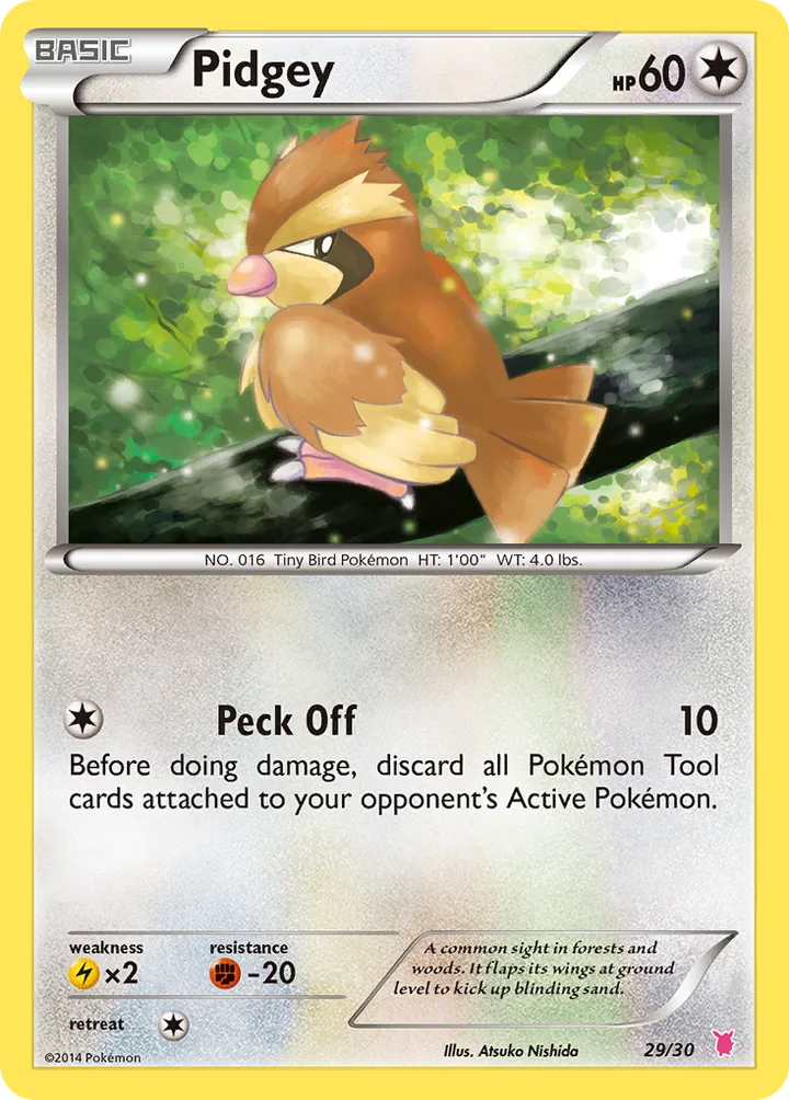 Pidgey, XY Trainer Kit—Wigglytuff 29/30