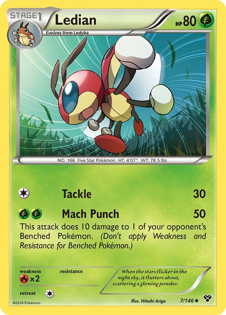 Ledian, XY 7/146