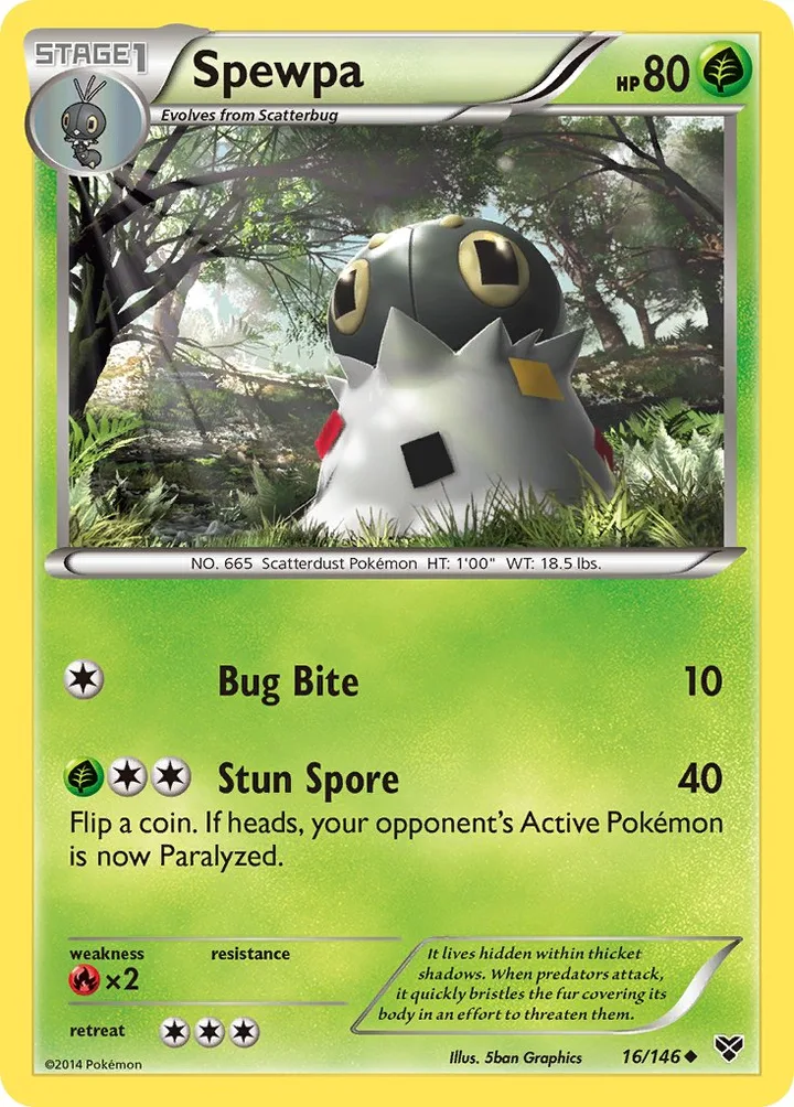 Spewpa, XY 16/146