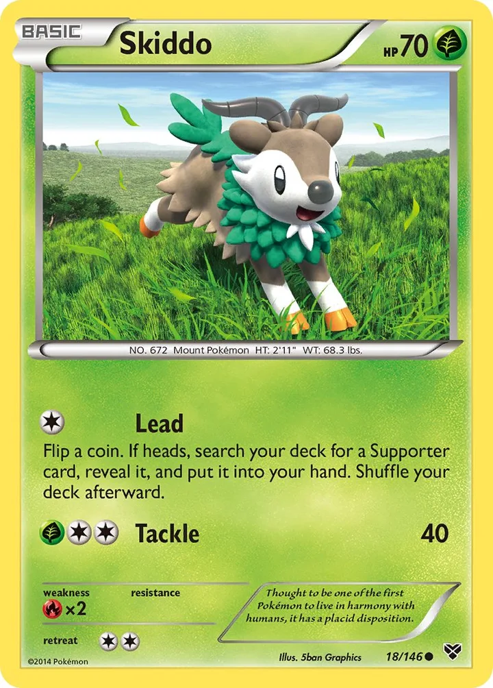 Skiddo, XY 18/146