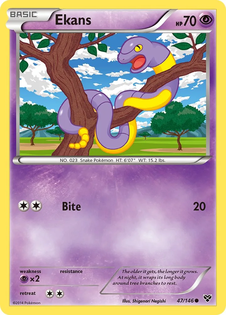 Ekans, XY 47/146